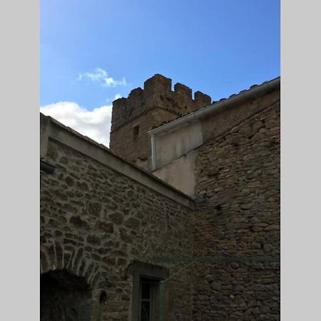 Le Petit Ormeau Attenant A La Tour Du Portail Neuf Daire Laure-Minervois Dış mekan fotoğraf